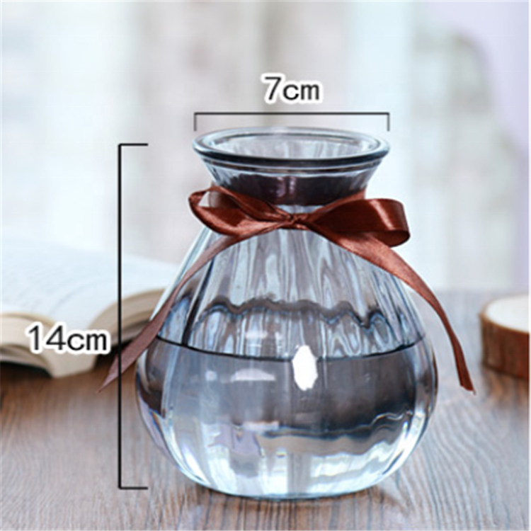 Popular Design for Modern Candle Jars Wholesale - wholesale household flower decoration glass vaseCui Can Glass detail pictures